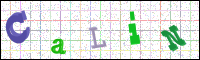 Verificación de la imagen